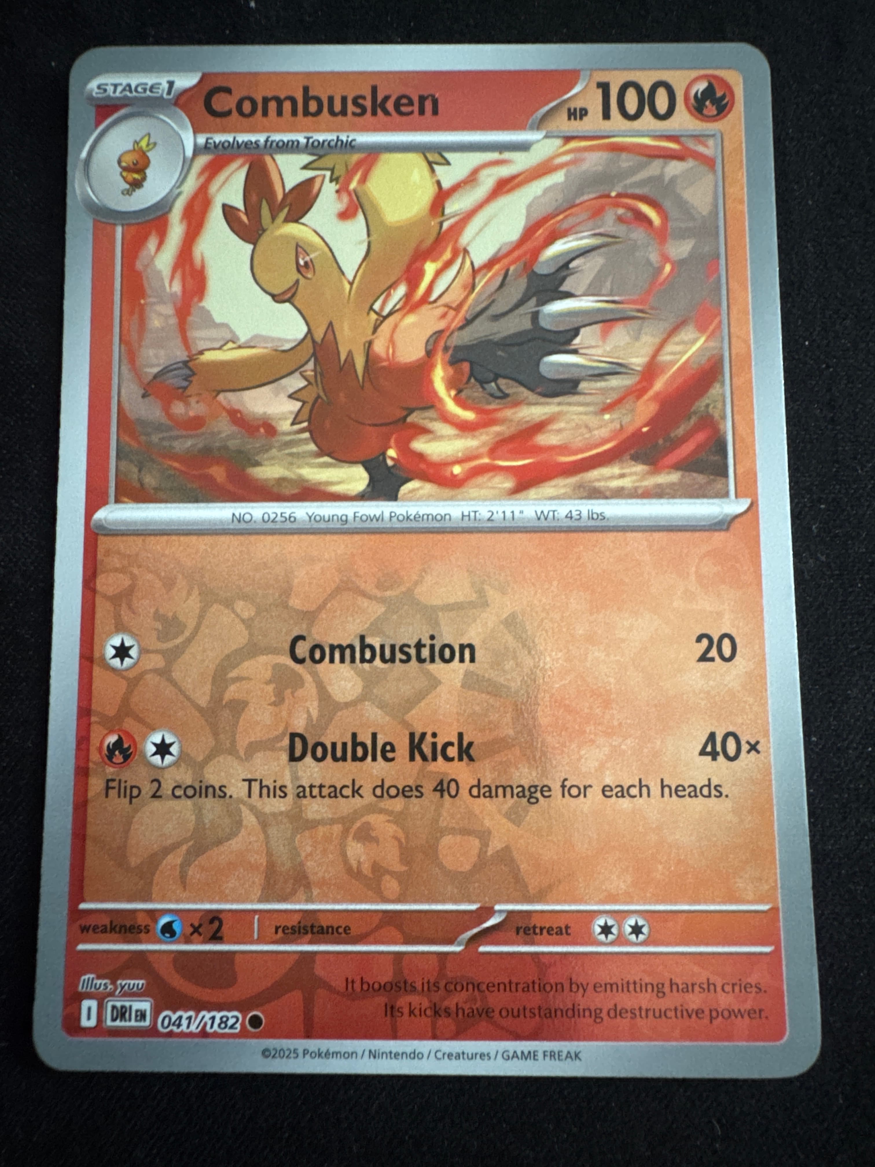 Combusken from Destined Rivals