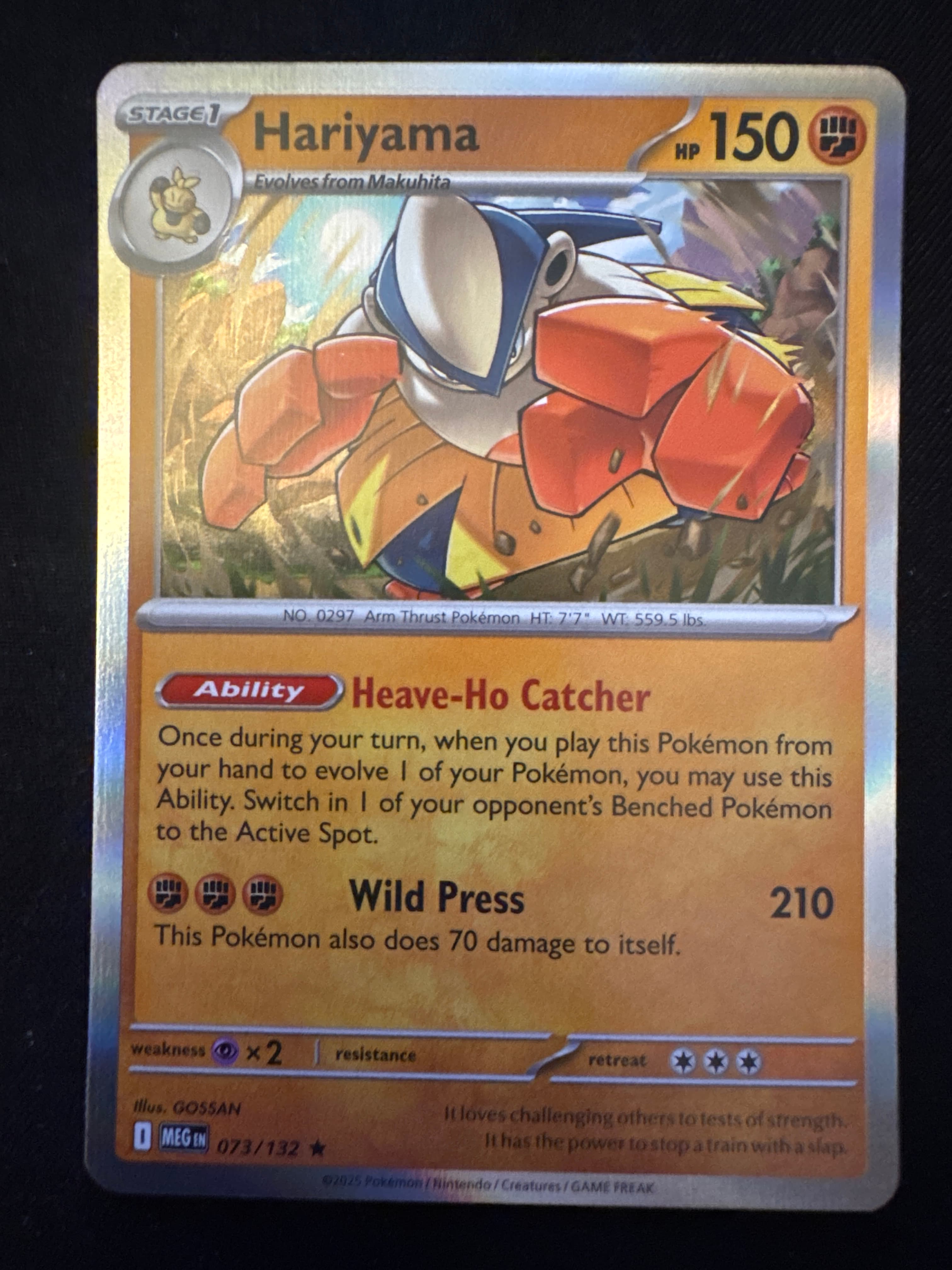 Hariyama from MEG