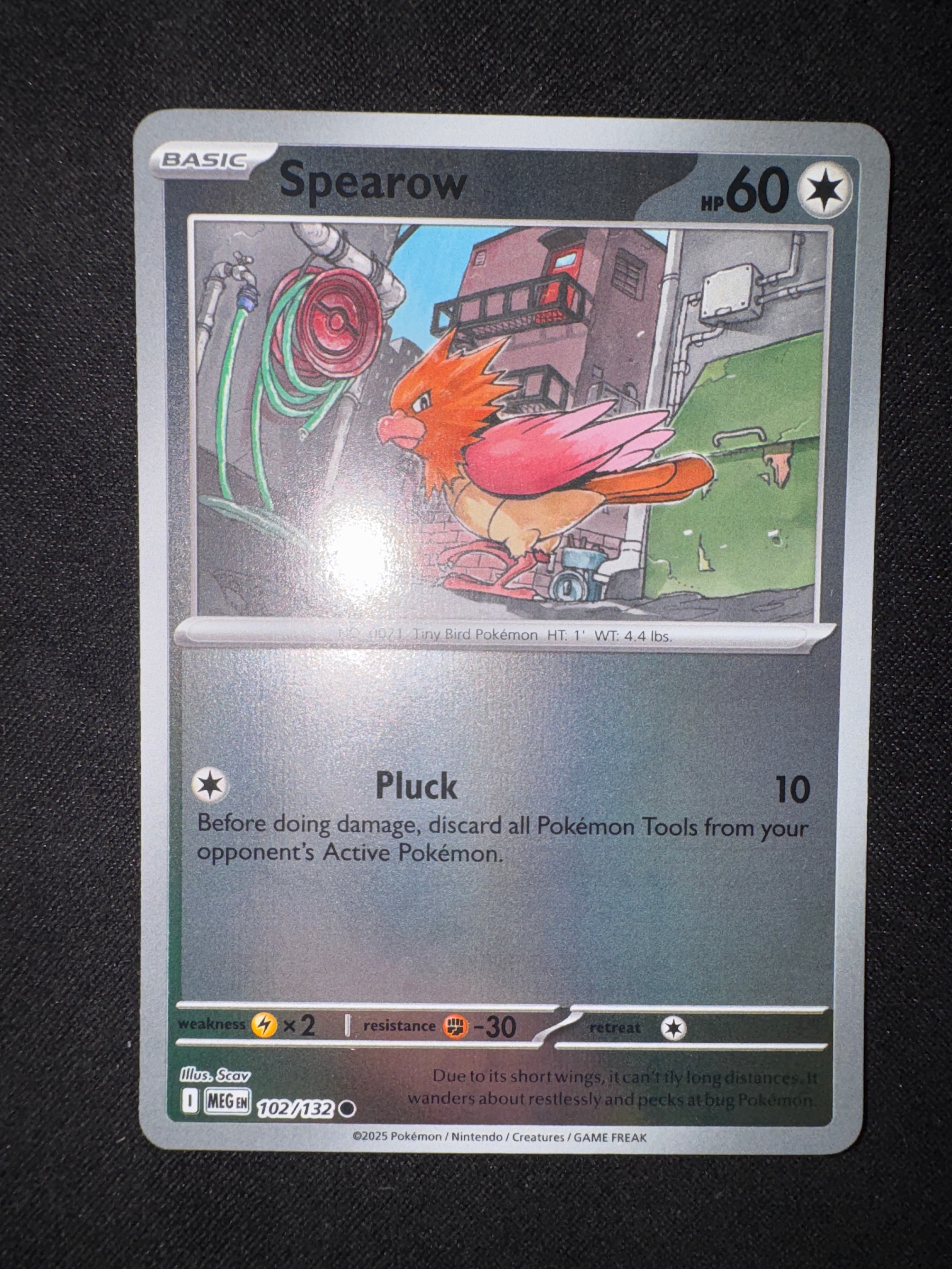Spearow from Mega Evolution