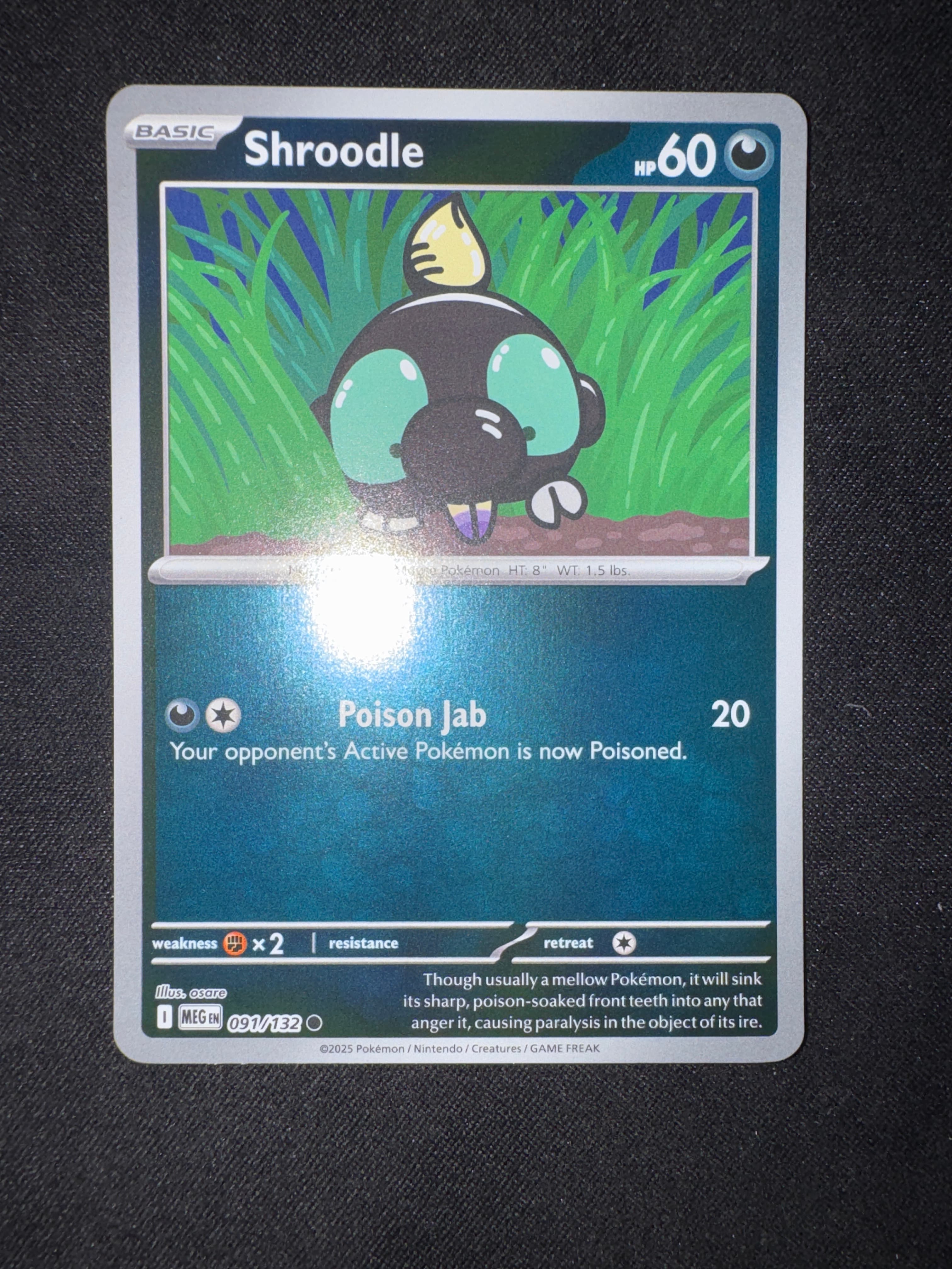 Shroodle from Mega Evolution