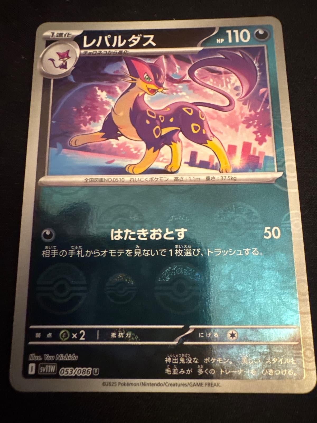 Liepard from sv11W